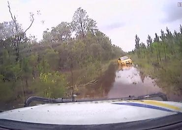 Recovery In Toolara Forest